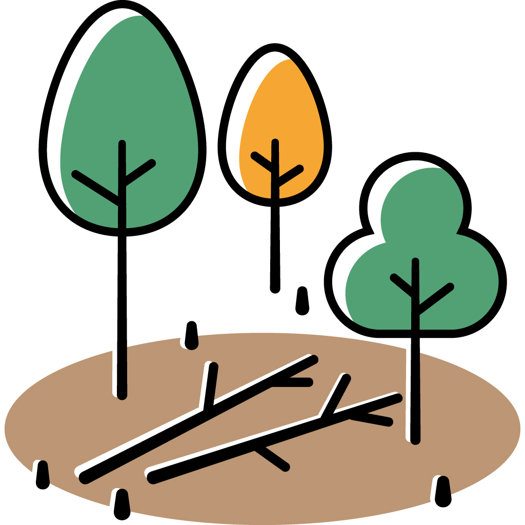 kuvituskuva: kasvavia puita ja maassa lahoavia puita