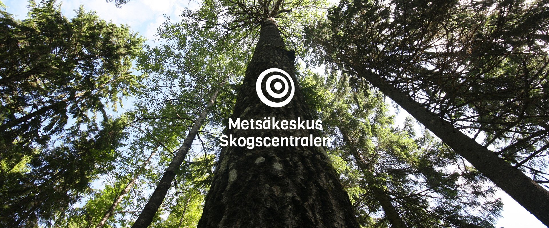 Villiä bisnestä Pohjois-Savon metsistä - mitä mahdollisuuksia metsä tarjoaa? -webinaari