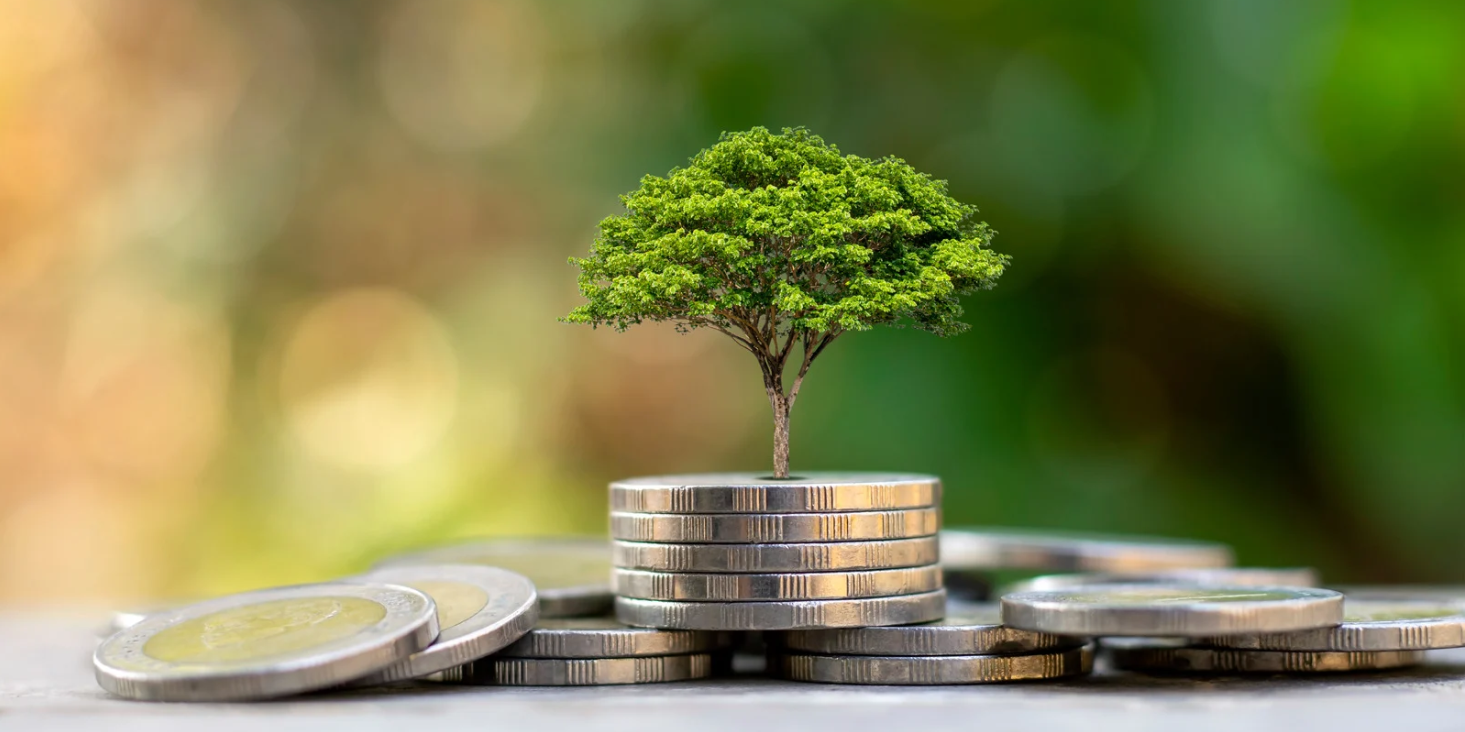 Miljoonien mahdollisuus – Vihreän siirtymän rahoitusmahdollisuudet
