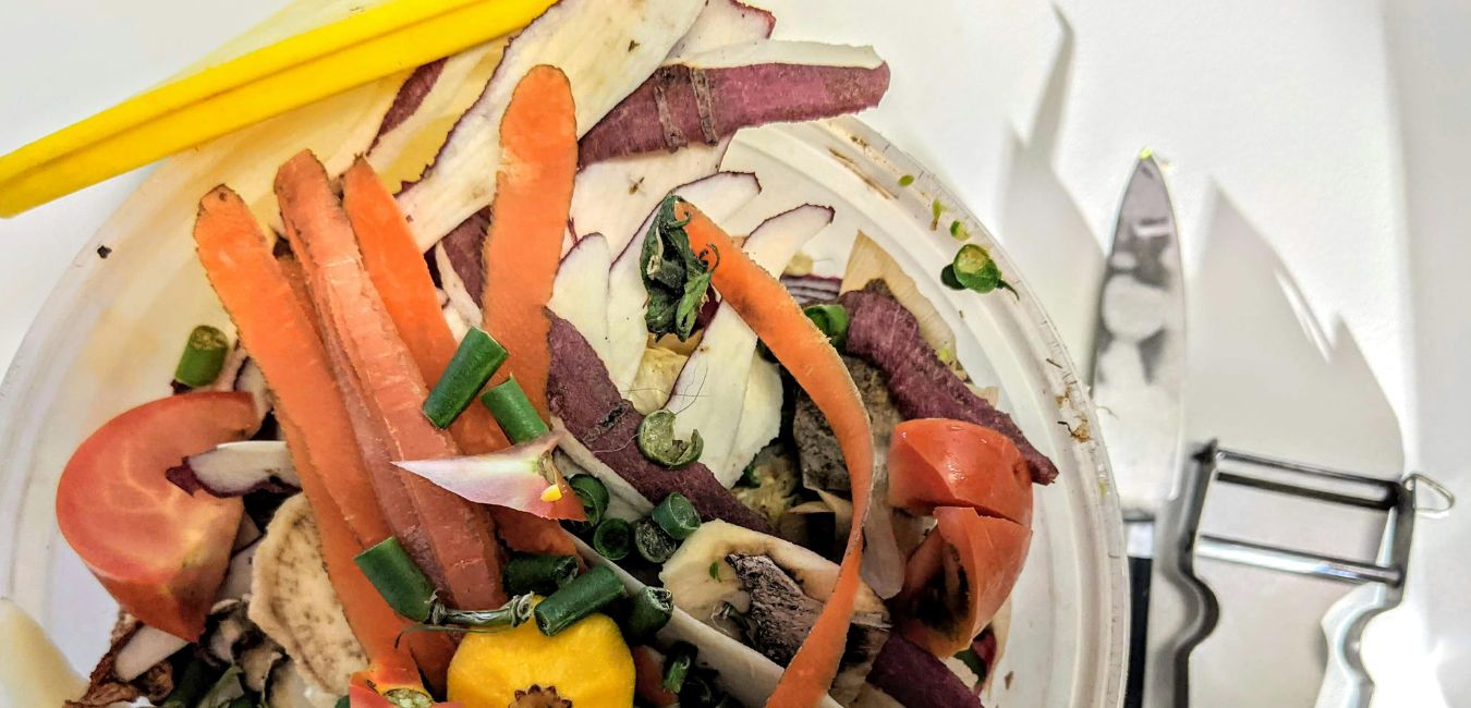 Hiilineutraali-webinaari: Missä mennään kuntien ruokapalveluiden kestävyystyössä?