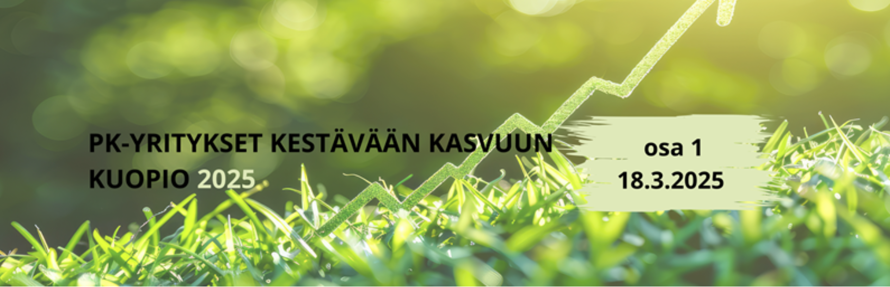 Pk-yritykset kestävään kasvuun Kuopio 2025/osa 1