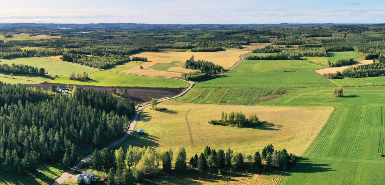 Ilmastoaamukahvit: Pohjois-Savon maankäyttösektorin hiilitaseselvityksen tulokset