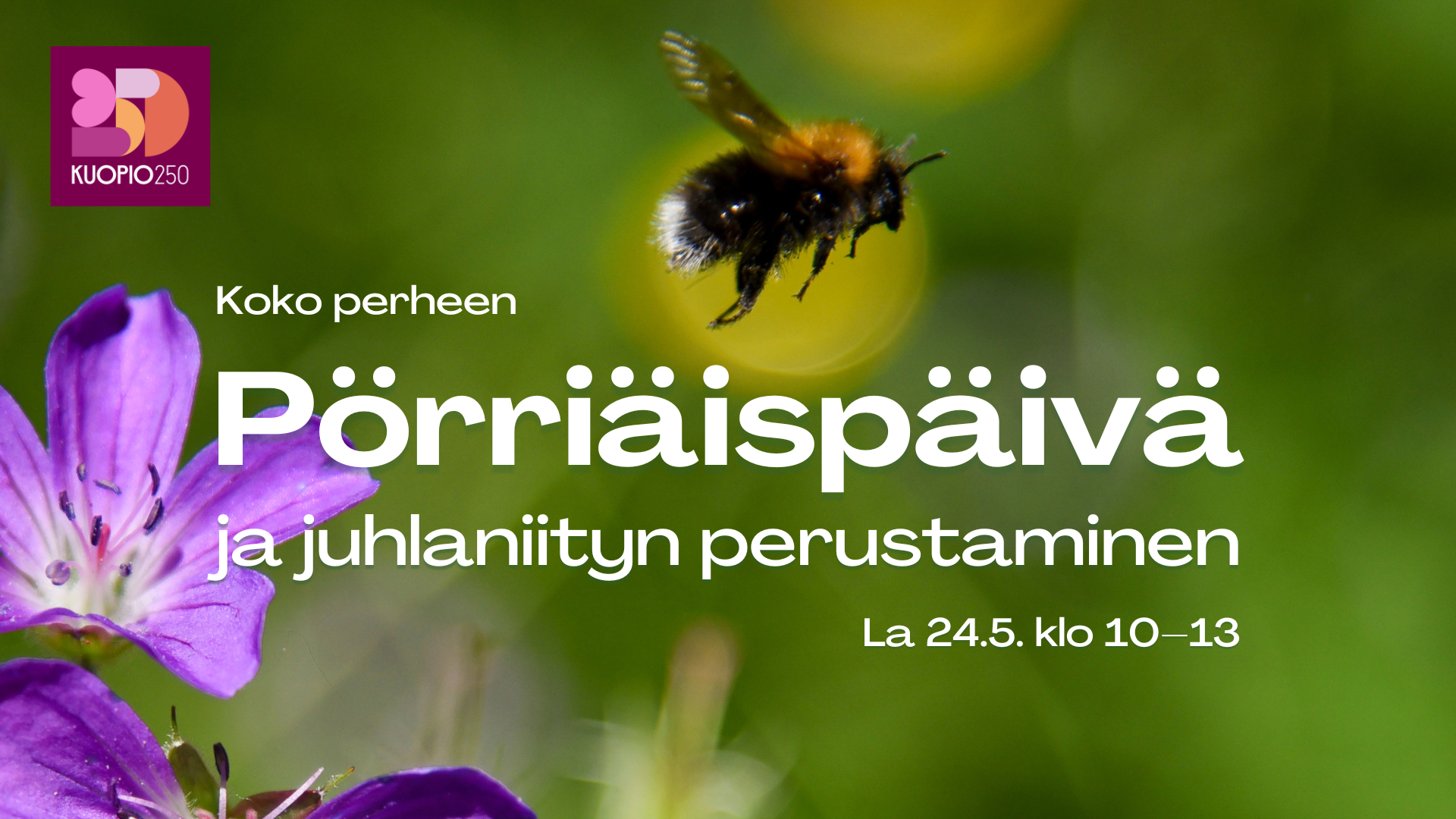 Pörriäispäivä ja juhlaniityn perustaminen