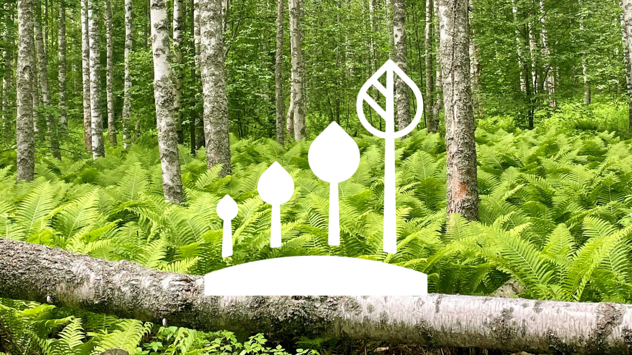 Luontokadon pysäyttäminen Pohjois-Savossa -aamukahviwebinaari