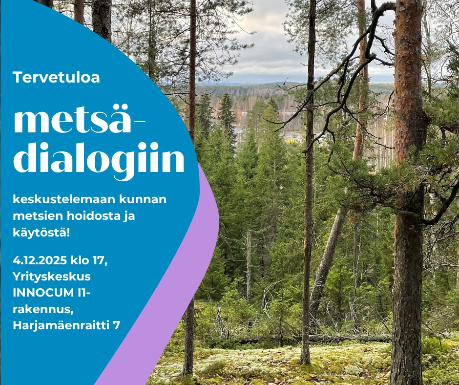 Kuvituskuva metsämaisemasta.