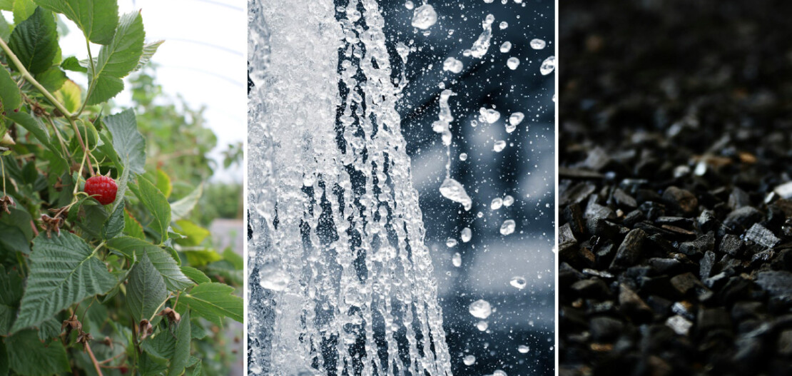 Biohiilen arvoketjut -työpaja