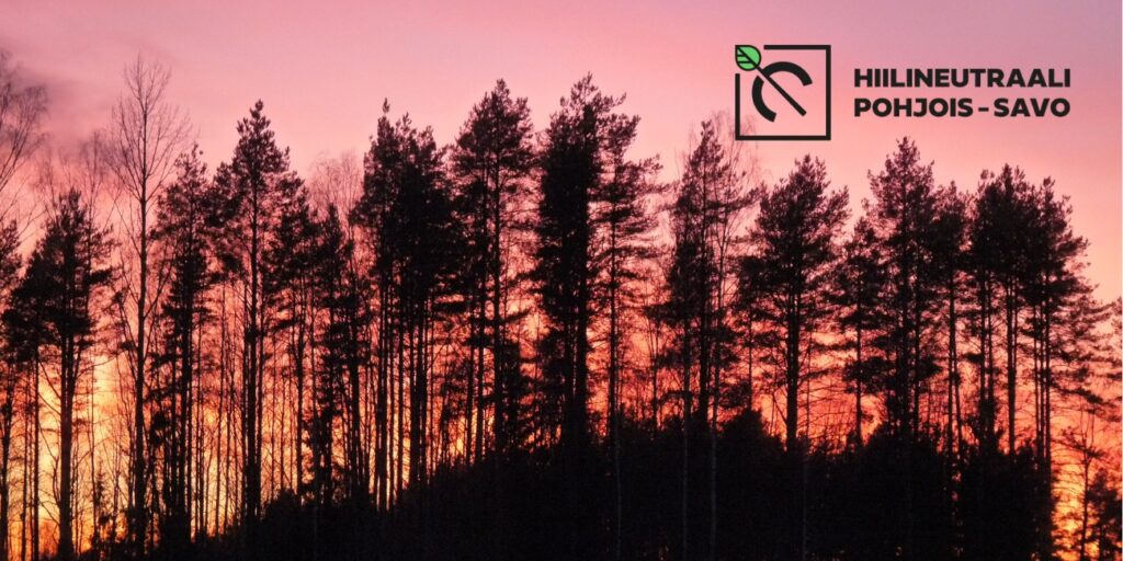 puita auringonlaskussa