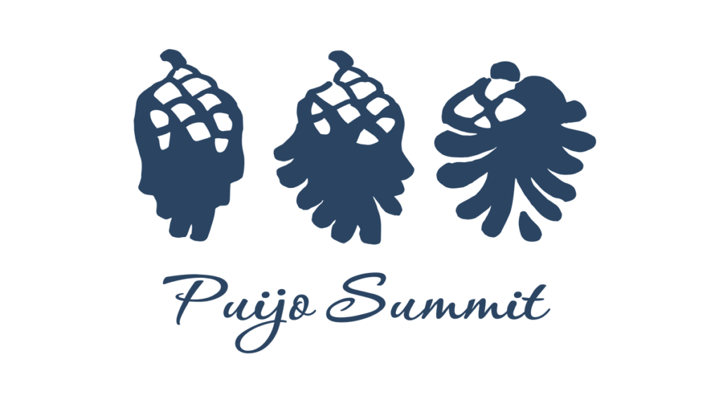 Kolme männynkäpyä piirroskuvassa vieretysten.