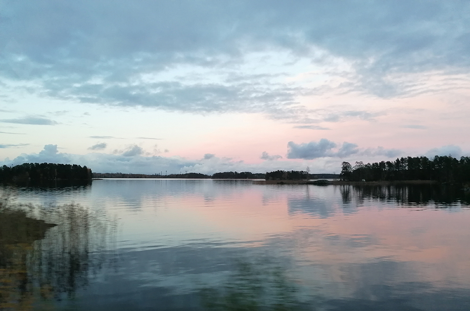 Saimaannorppa nyt – perimä, suojelu ja tulevaisuus