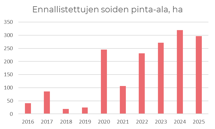 Kuvaus ennallistettujen soiden pinta-alasta vuosina 2016-2025. Soita ennallistettiin vuonna 2025 n. 300 hehtaaria, mikä on hieman laskua edellisvuoteen.