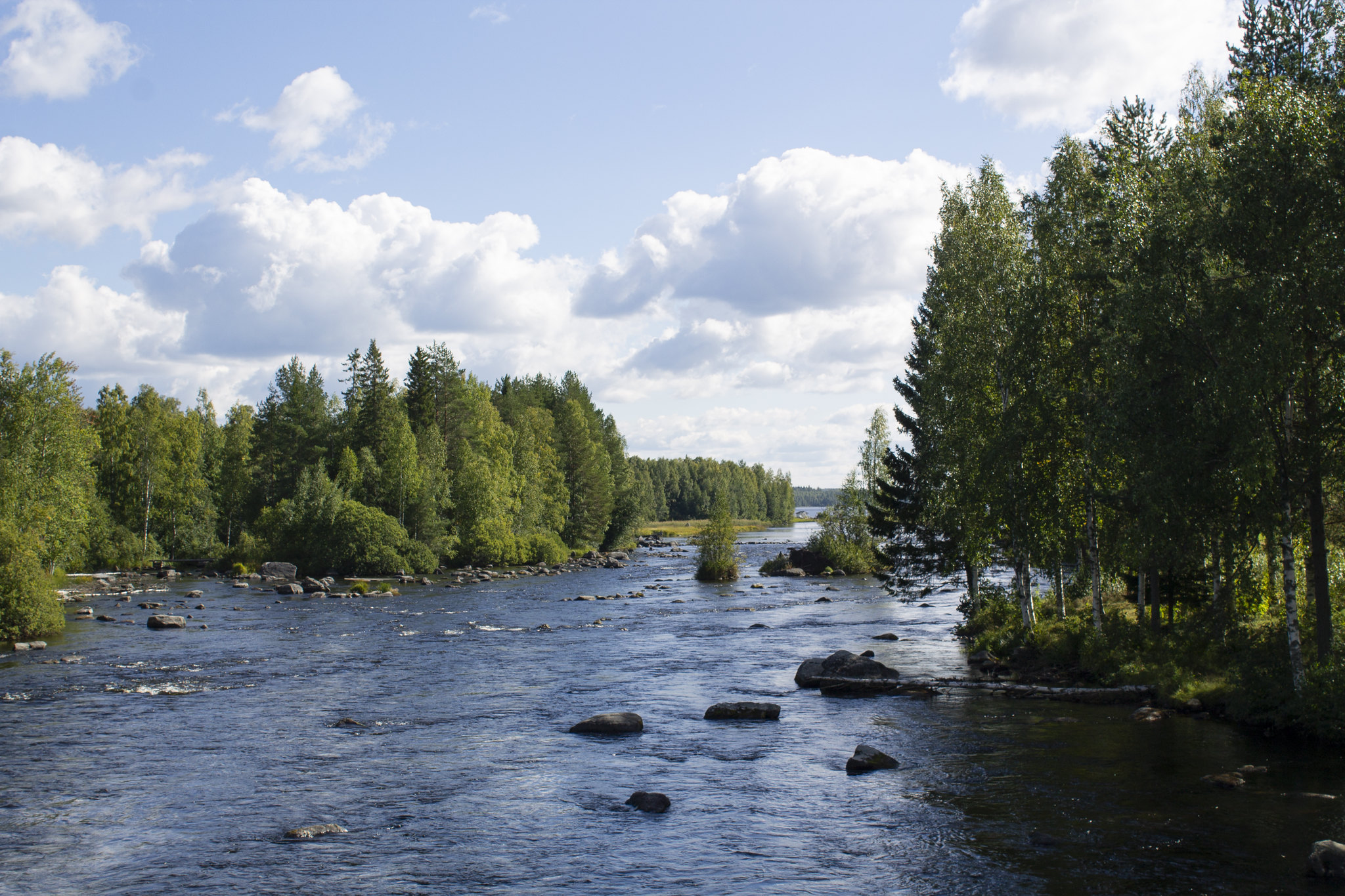 Ilmastonmuutos ja vesihuolto kunnissa