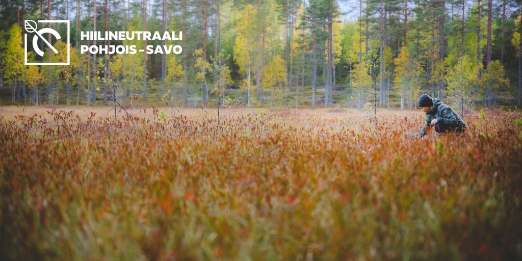 Ihminen kyykyssä suolla